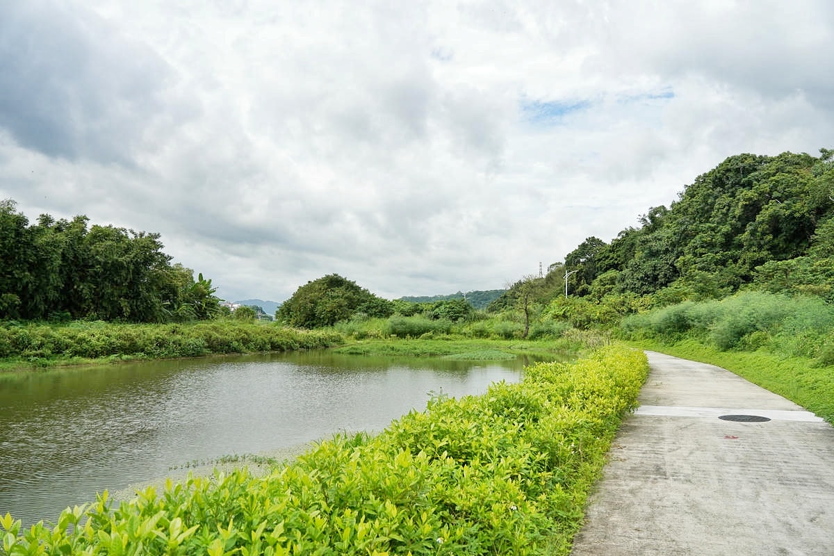 桃園大溪推薦景點懶人包,探索6大秘境,走趟山豬湖生態園區,欣賞壯闊中庄吊橋與濕地美景,享受都市後花園的悠然恬靜 - 第69張圖