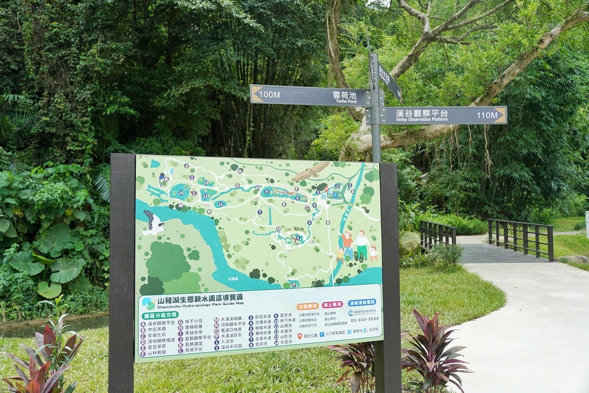桃園大溪推薦景點懶人包,探索6大秘境,走趟山豬湖生態園區,欣賞壯闊中庄吊橋與濕地美景,享受都市後花園的悠然恬靜 - 第7張圖