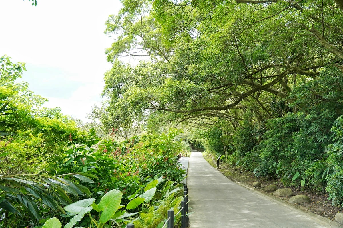 桃園大溪推薦景點懶人包,探索6大秘境,走趟山豬湖生態園區,欣賞壯闊中庄吊橋與濕地美景,享受都市後花園的悠然恬靜 - 第10張圖