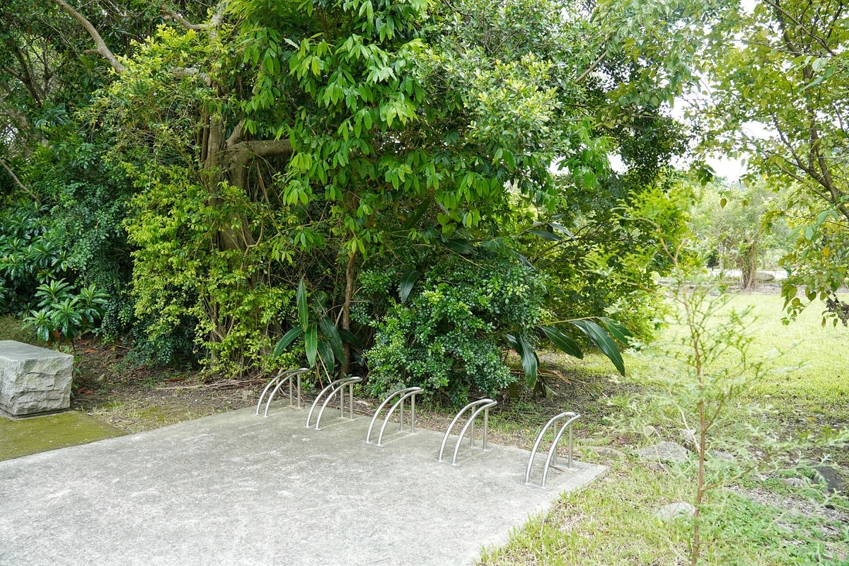桃園大溪推薦景點懶人包,探索6大秘境,走趟山豬湖生態園區,欣賞壯闊中庄吊橋與濕地美景,享受都市後花園的悠然恬靜 - 第14張圖
