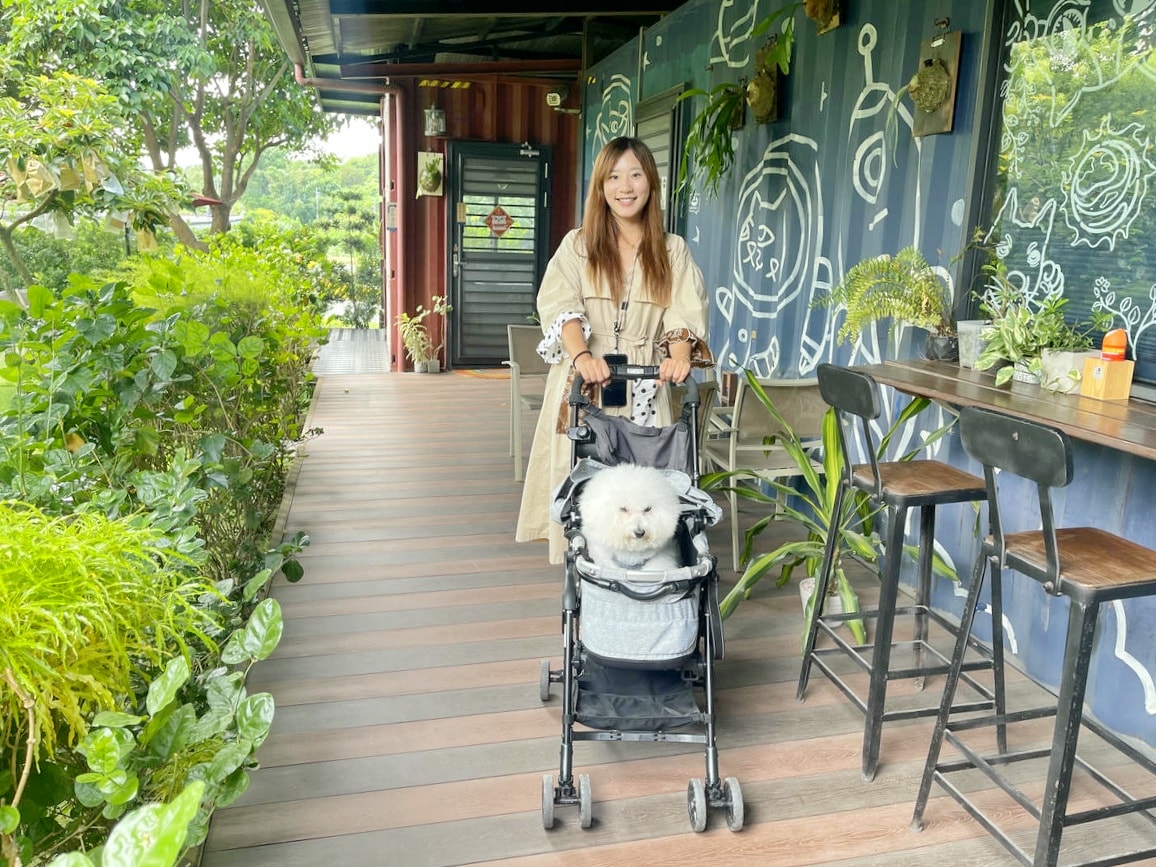 台南橋前駅 Ciao cafe,絕美塗鴉風貨櫃屋庭院咖啡館,啜一口悠閒,免費停車、寵物友善 - 第15張圖