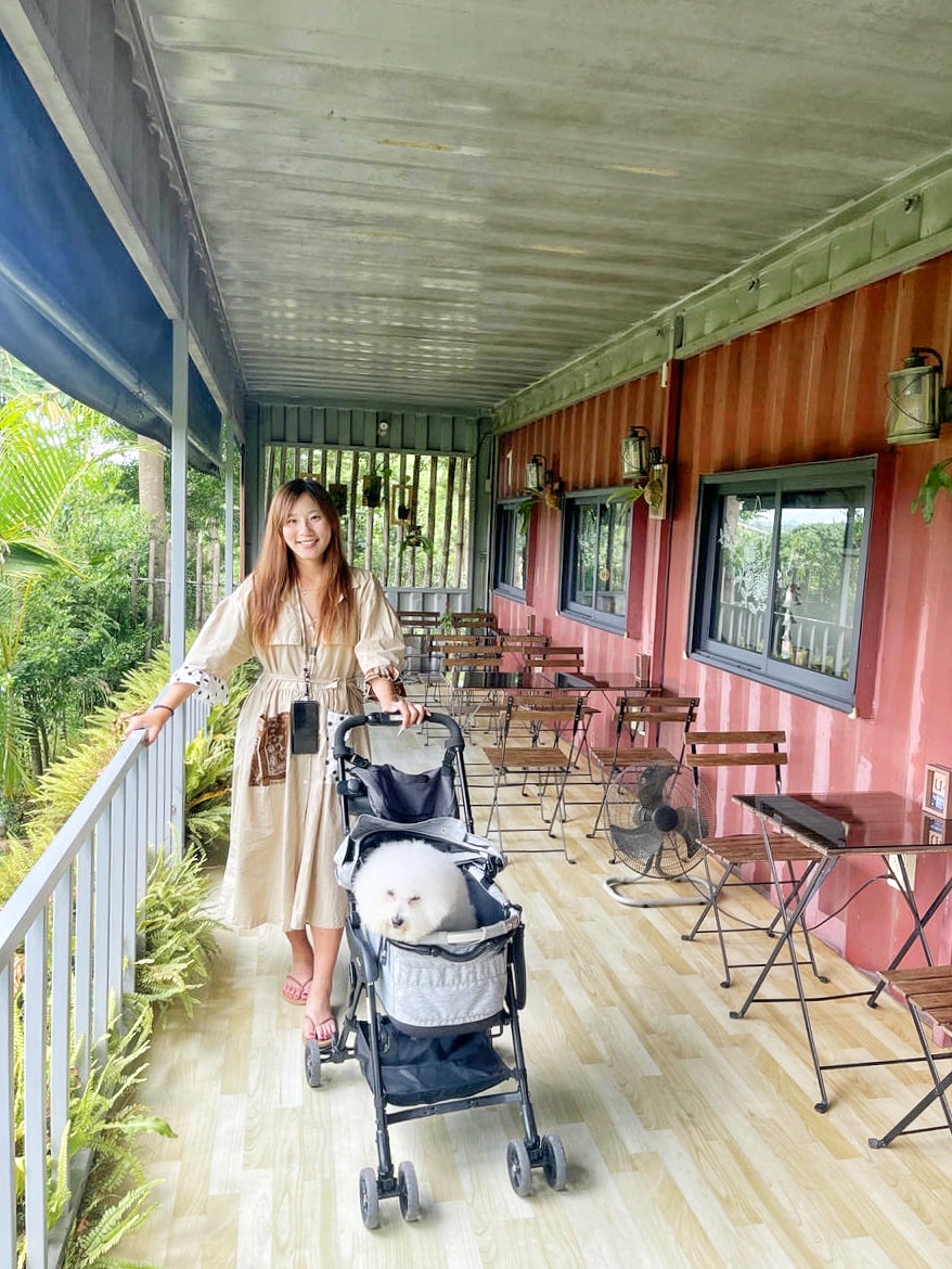 台南橋前駅 Ciao cafe,絕美塗鴉風貨櫃屋庭院咖啡館,啜一口悠閒,免費停車、寵物友善 - 第4張圖