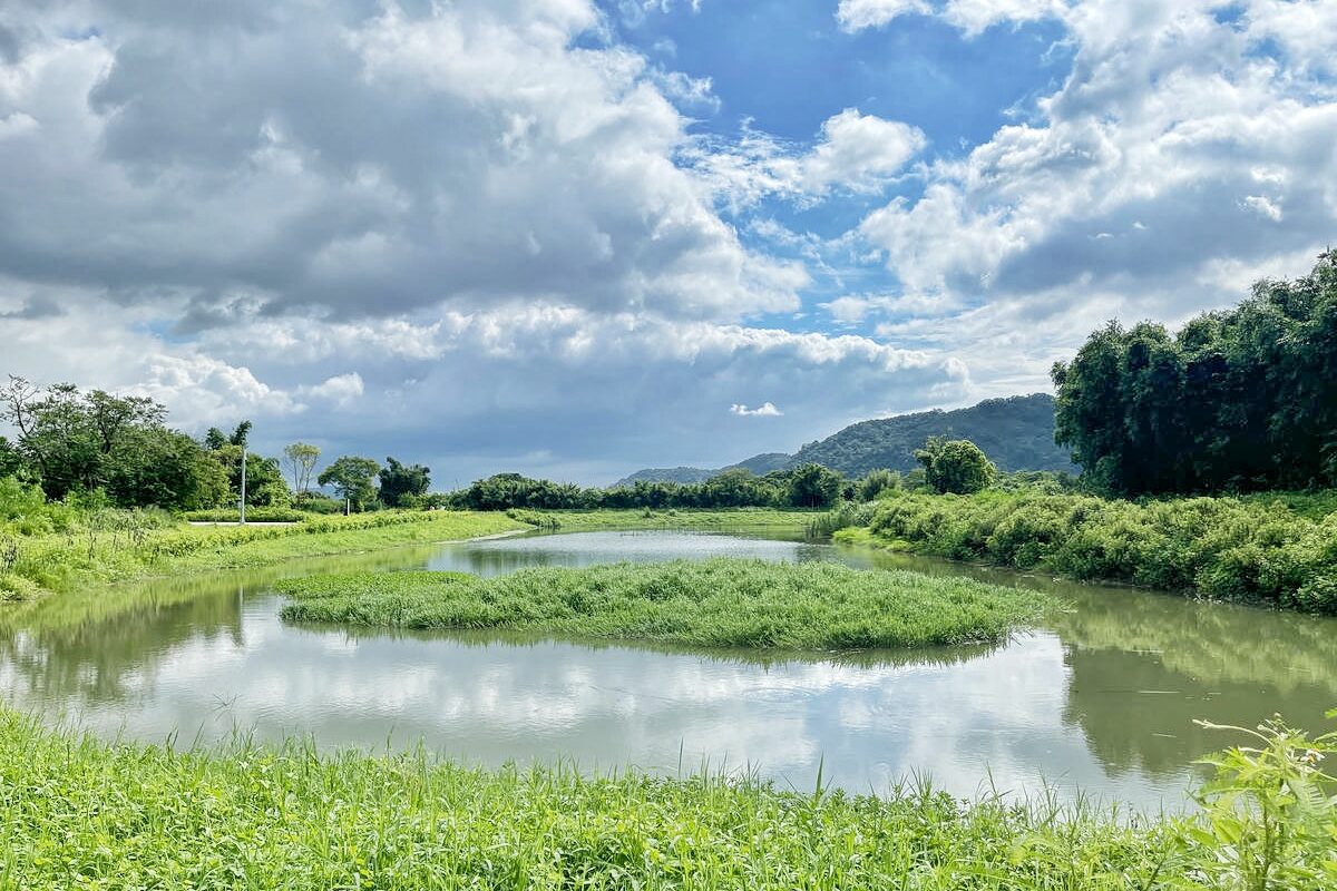 桃園大溪推薦景點懶人包,探索6大秘境,走趟山豬湖生態園區,欣賞壯闊中庄吊橋與濕地美景,享受都市後花園的悠然恬靜 - 第70張圖