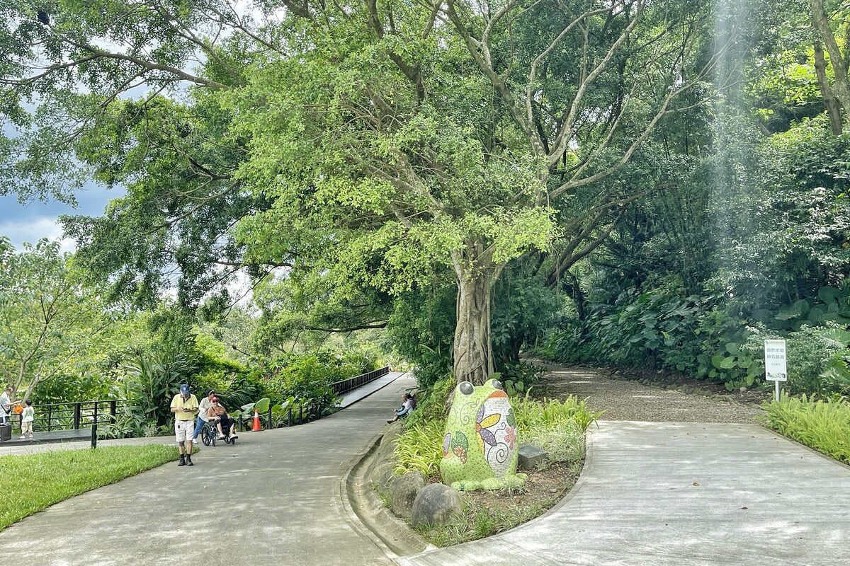 桃園大溪推薦景點懶人包,探索6大秘境,走趟山豬湖生態園區,欣賞壯闊中庄吊橋與濕地美景,享受都市後花園的悠然恬靜 - 第8張圖