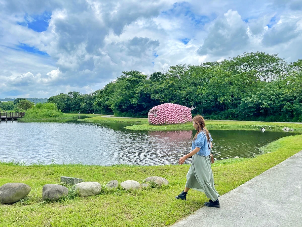 桃園大溪推薦景點懶人包,探索6大秘境,走趟山豬湖生態園區,欣賞壯闊中庄吊橋與濕地美景,享受都市後花園的悠然恬靜 - 第62張圖