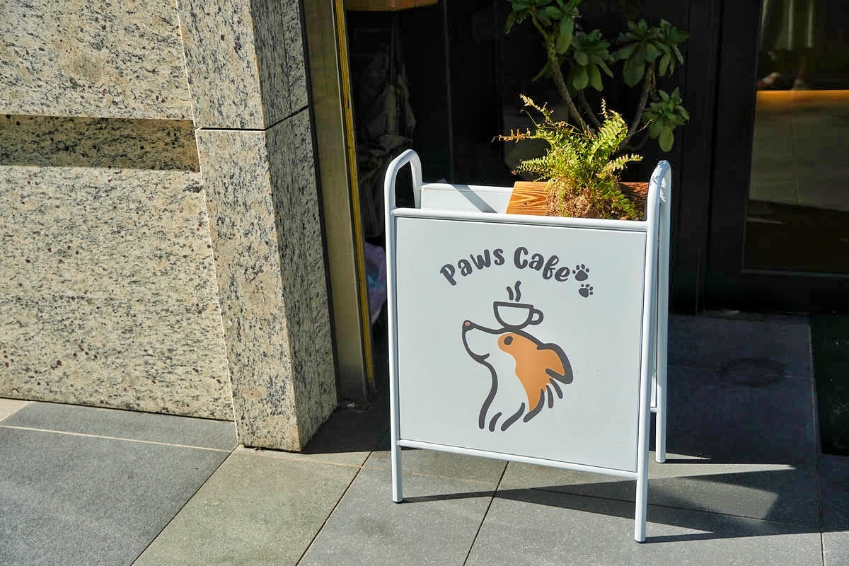 新莊 Paws Cafe,新莊寵物友善餐廳推薦,近捷運幸福站,療癒店長布偶貓、邊境犬陪坐,帶寵物來店即贈免費羊奶 - 第2張圖