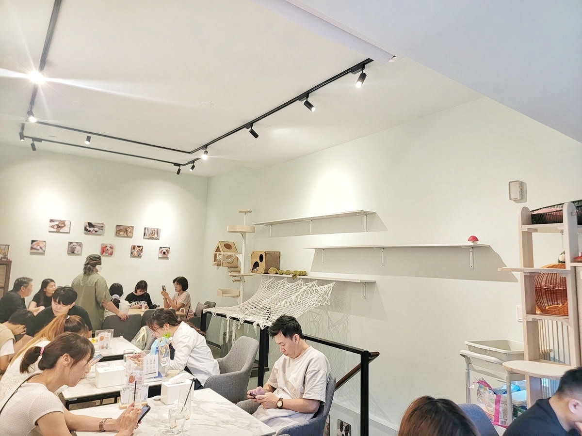 新莊 Paws Cafe,新莊寵物友善餐廳推薦,近捷運幸福站,療癒店長布偶貓、邊境犬陪坐,帶寵物來店即贈免費羊奶 - 第6張圖