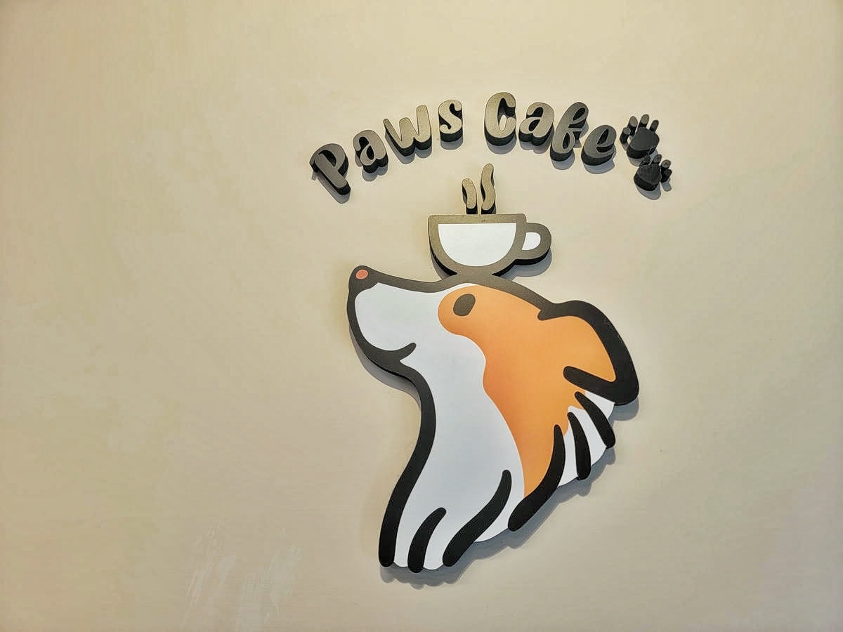 新莊 Paws Cafe,新莊寵物友善餐廳推薦,近捷運幸福站,療癒店長布偶貓、邊境犬陪坐,帶寵物來店即贈免費羊奶 - 第28張圖