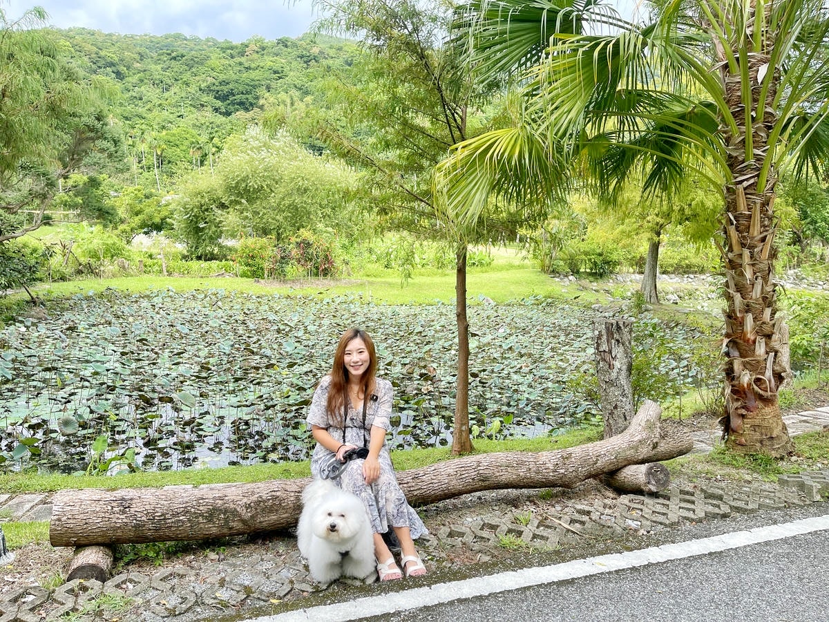 花蓮後湖水月,不像人世間存在的絕美山中渡假別墅,總統套房等級水間玻璃屋,室內外融合為一體的尊爵體驗。花蓮民宿推薦,寵物友善 - 第11張圖
