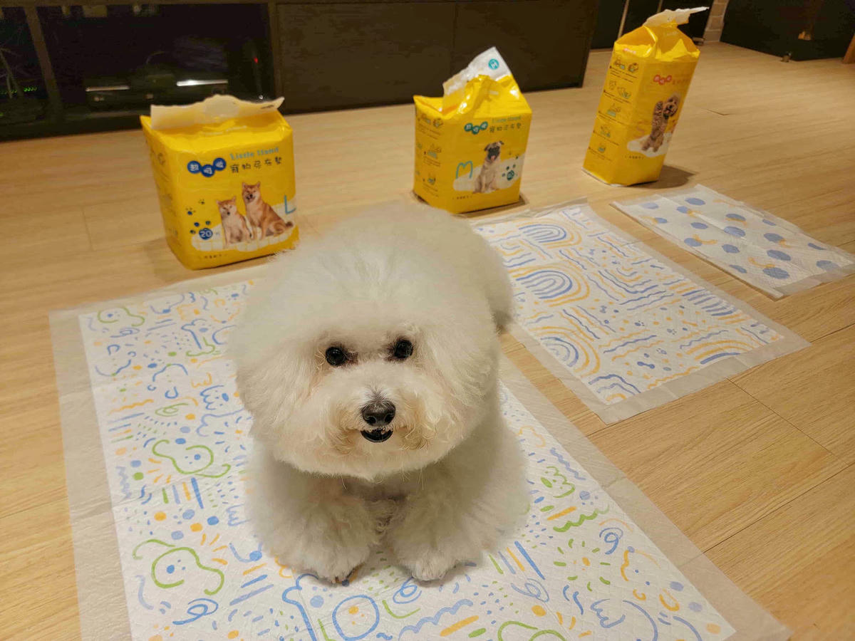 寵物家庭必備!Little hand 超強吸收抑臭寵物尿布墊,還附加誘導定點方便功能!我家毛孩用過就回不去啦! - 第3張圖