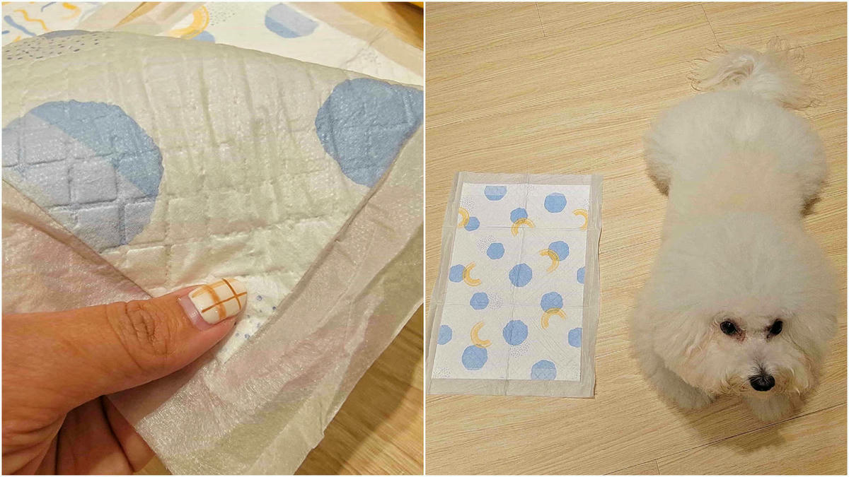 寵物家庭必備!Little hand 超強吸收抑臭寵物尿布墊,還附加誘導定點方便功能!我家毛孩用過就回不去啦! - 第19張圖