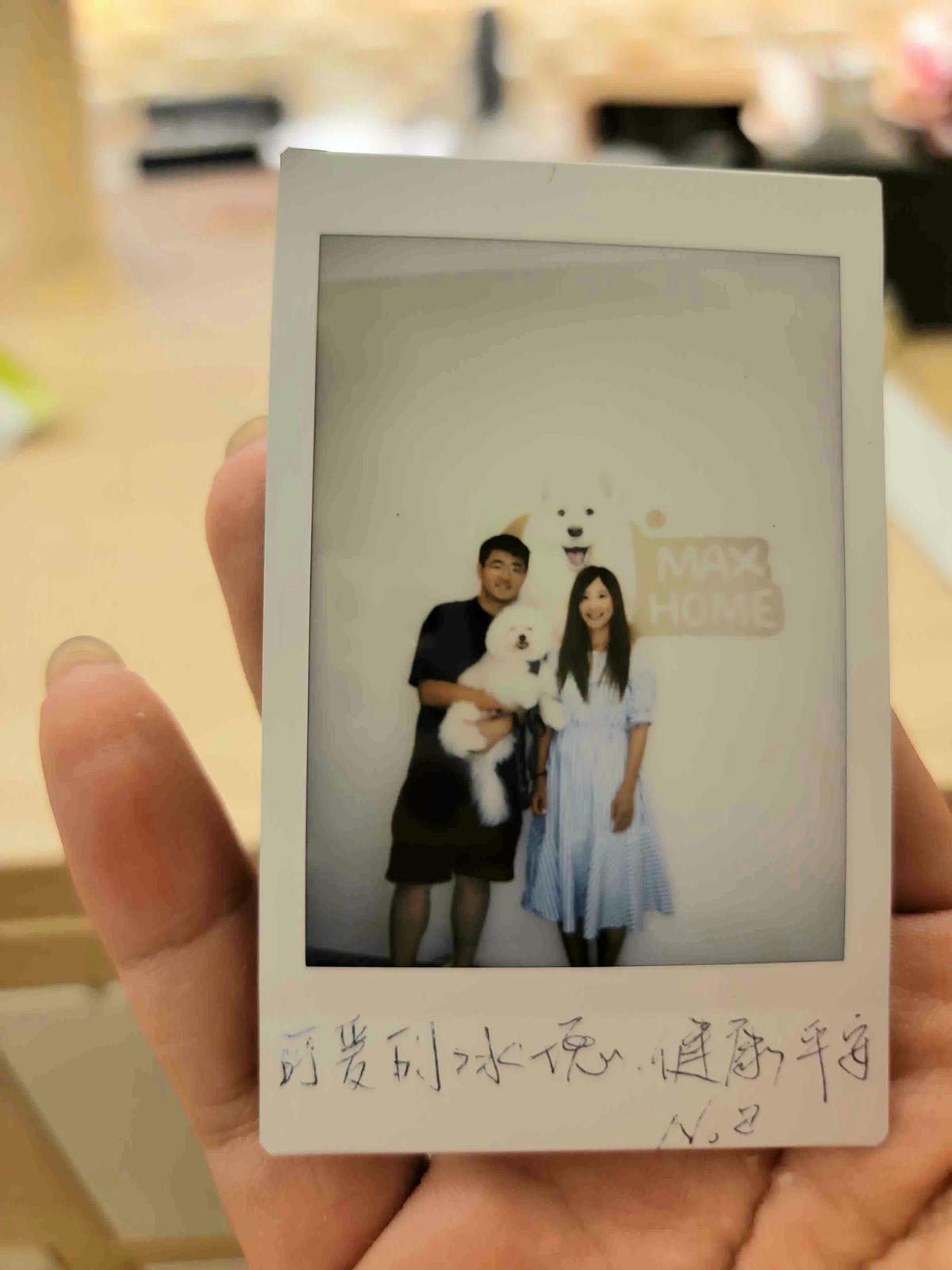 【宜蘭冬山】全新開幕 Max Home 質感寵物友善民宿,一泊二食,暢享北歐私廚早餐,精緻午茶buffet、百坪圍籬草坪讓狗狗恣意奔跑,還有薩摩耶店長可愛上工! - 第76張圖