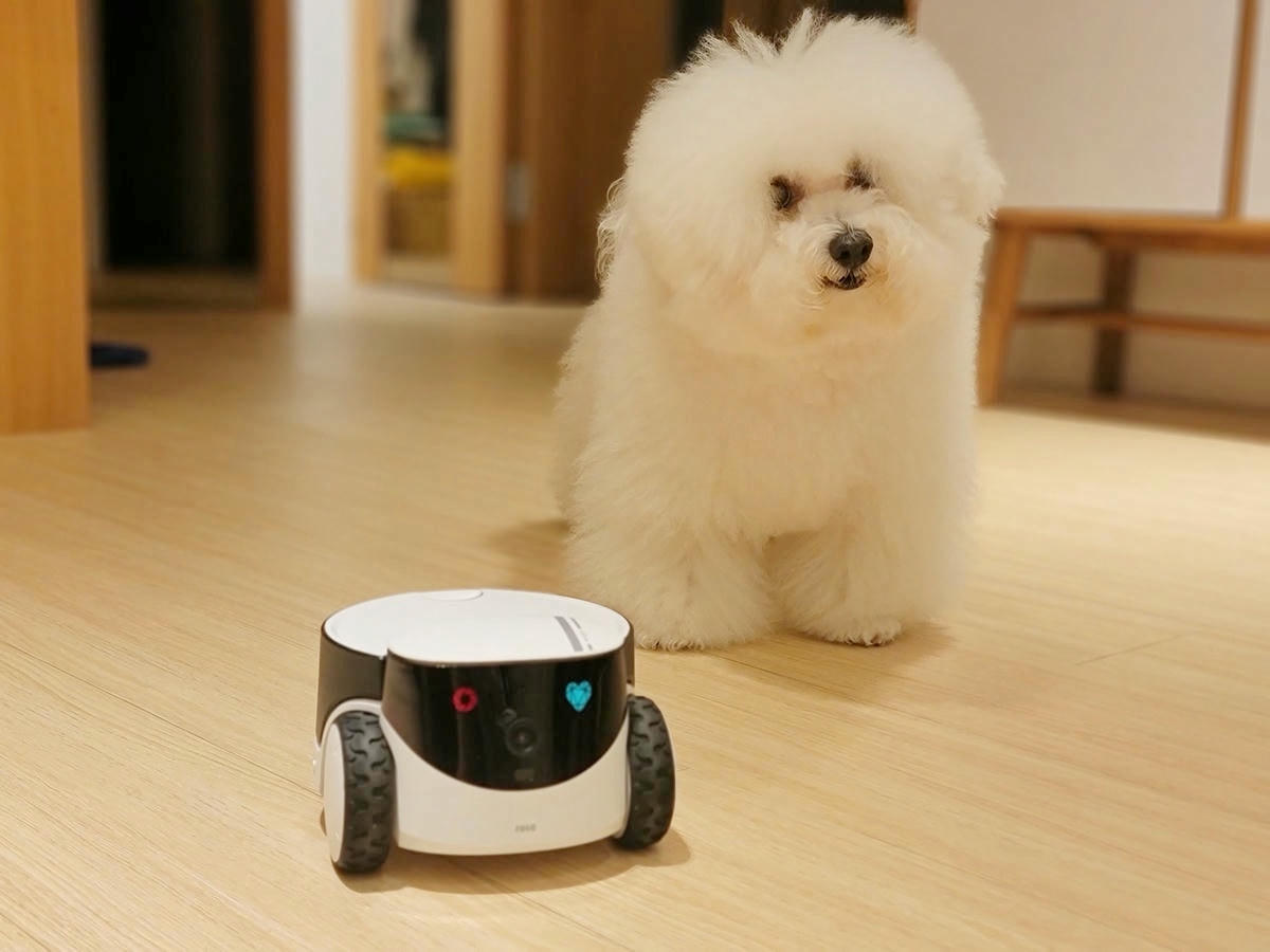 ROLA PetPal 寵物陪伴機器人,自動餵食互動遊戲,讓寵愛隨時都在,毛孩家庭必備! - 第18張圖