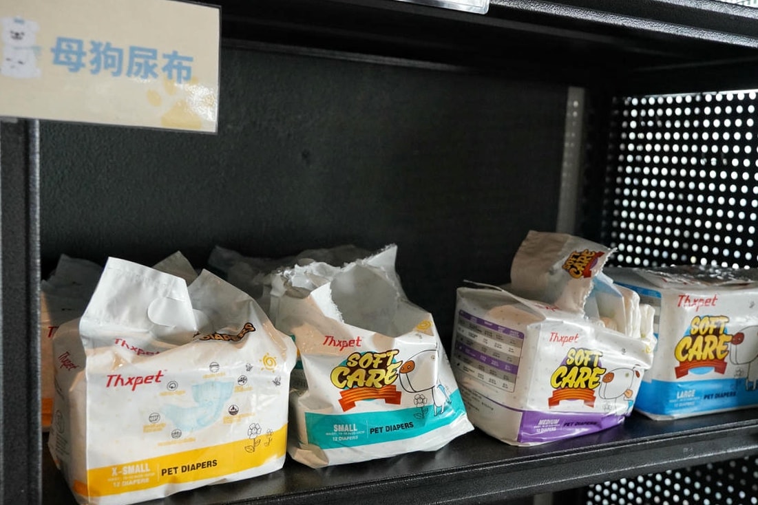 【台中寵物友善露營】蟬說:山中靜靜,最值得一訪的台中豪華露營全攻略,帶著毛孩一起出發,體驗被層疊山巒環繞的秘境奢華露營 - 第37張圖