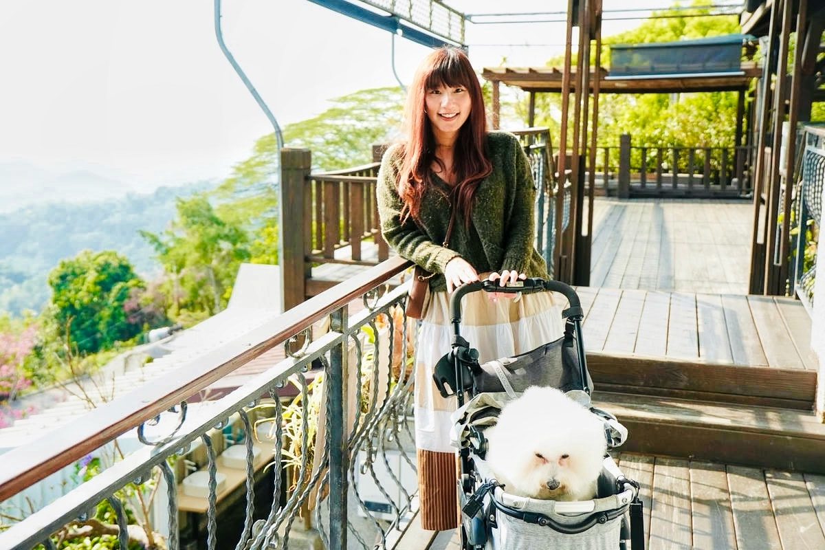 【台中寵物友善露營】蟬說:山中靜靜,最值得一訪的台中豪華露營全攻略,帶著毛孩一起出發,體驗被層疊山巒環繞的秘境奢華露營 - 第20張圖