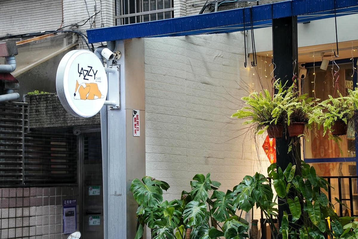 台北超強寵物友善餐廳推薦,毛爸媽快衝!Lazzy Caf’e 寵物餐廳,百件寵物服飾任借,來場超萌毛孩變裝秀吧!手工製作寵物鮮食餐、人類下午茶、義式飯麵也美味 - 第4張圖