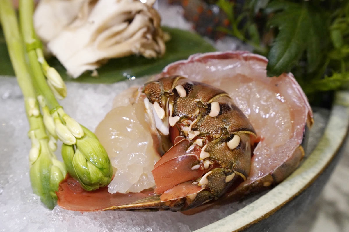 【台北頂級鐵板燒推薦】道和鐵板燒DOWA Teppanyaki:五感饗宴×日式侘寂美學,2025東區最奢華鐵板燒新開幕!打造極致味蕾新感受 - 第44張圖