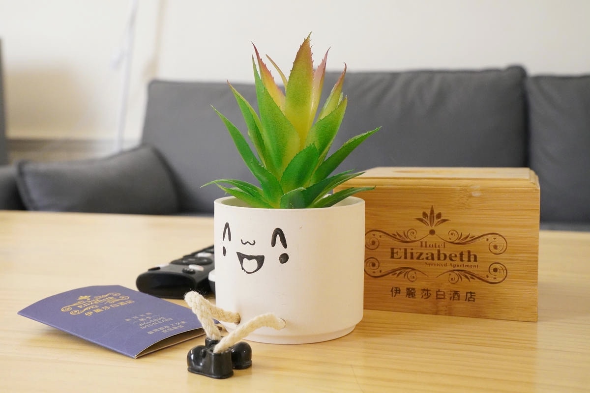 【台中住宿推薦】伊麗莎白酒店、宛如歐洲小公寓的超美舒適雙人房，近廣三SOGO商圈、科博館，交通便利、高CP值、有溫度的寵物友善飯店