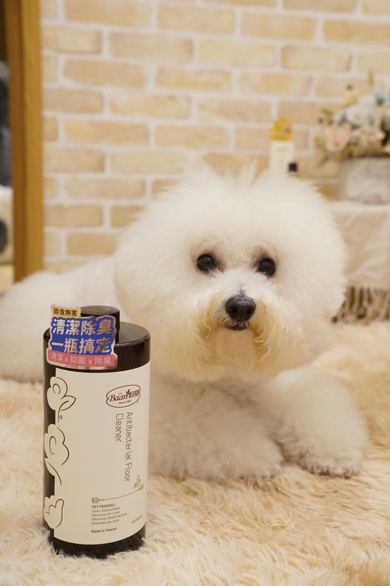 告別寵物異味！貝恩寵物清潔香氛開箱！專為毛孩設計，抑菌去味地板清潔劑、居家擴香，橙花與橡木榛果的香氣溫暖堆疊，低敏配方，清潔、抑菌、除臭三效合一，守護毛孩的幸福氣味空間