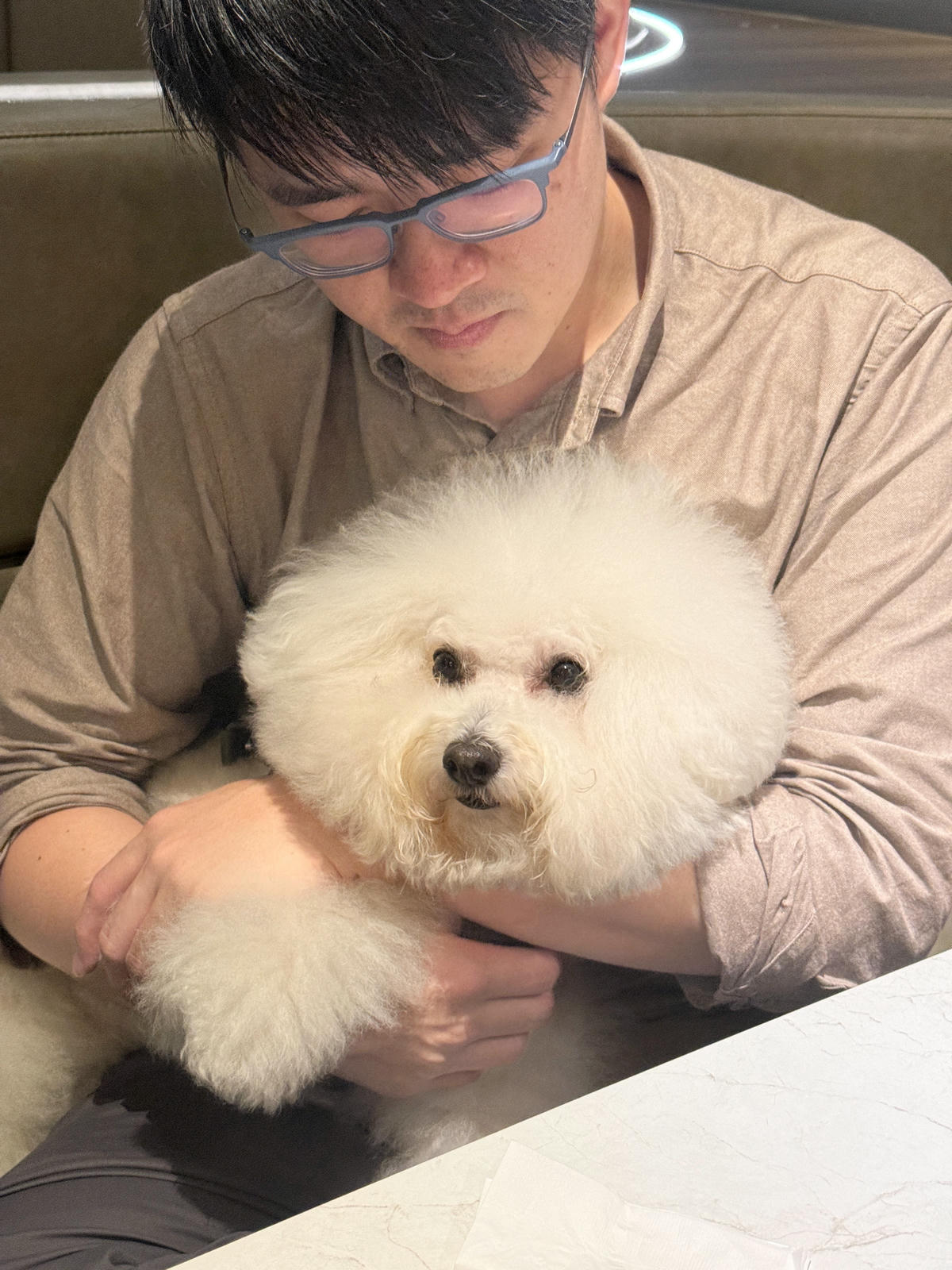 【台北內湖美食】二訪威爾森公園 Wilson Park ｜全新裝潢升級！威靈頓牛排、A5和牛佐海膽超驚艷，漂流木天花板，寵物友善餐廳，帶毛孩赴一場低調奢華的美食盛宴吧！