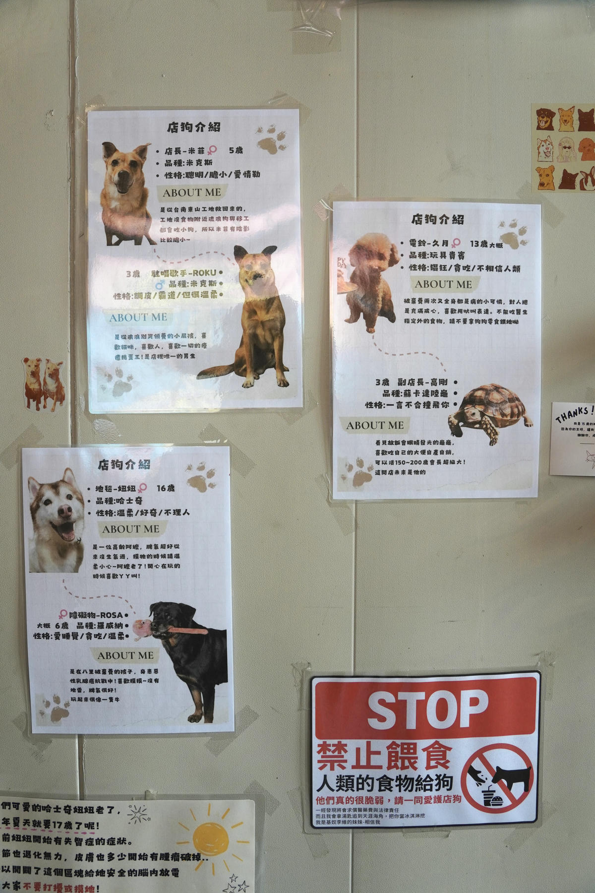 新北八里餐廳推薦,渡船人,享受一段隱藏在八里河岸的靜謐時光,坐擁美食與美景的河岸秘密基地,調酒很讚,5位可愛店狗陪你度過悠閒午後,寵物友善餐廳 - 第33張圖 新北八里餐廳推薦,渡船人,享受一段隱藏在八里河岸的靜謐時光,坐擁美食與美景的河岸秘密基地,調酒很讚,5位可愛店狗陪你度過悠閒午後,寵物友善餐廳