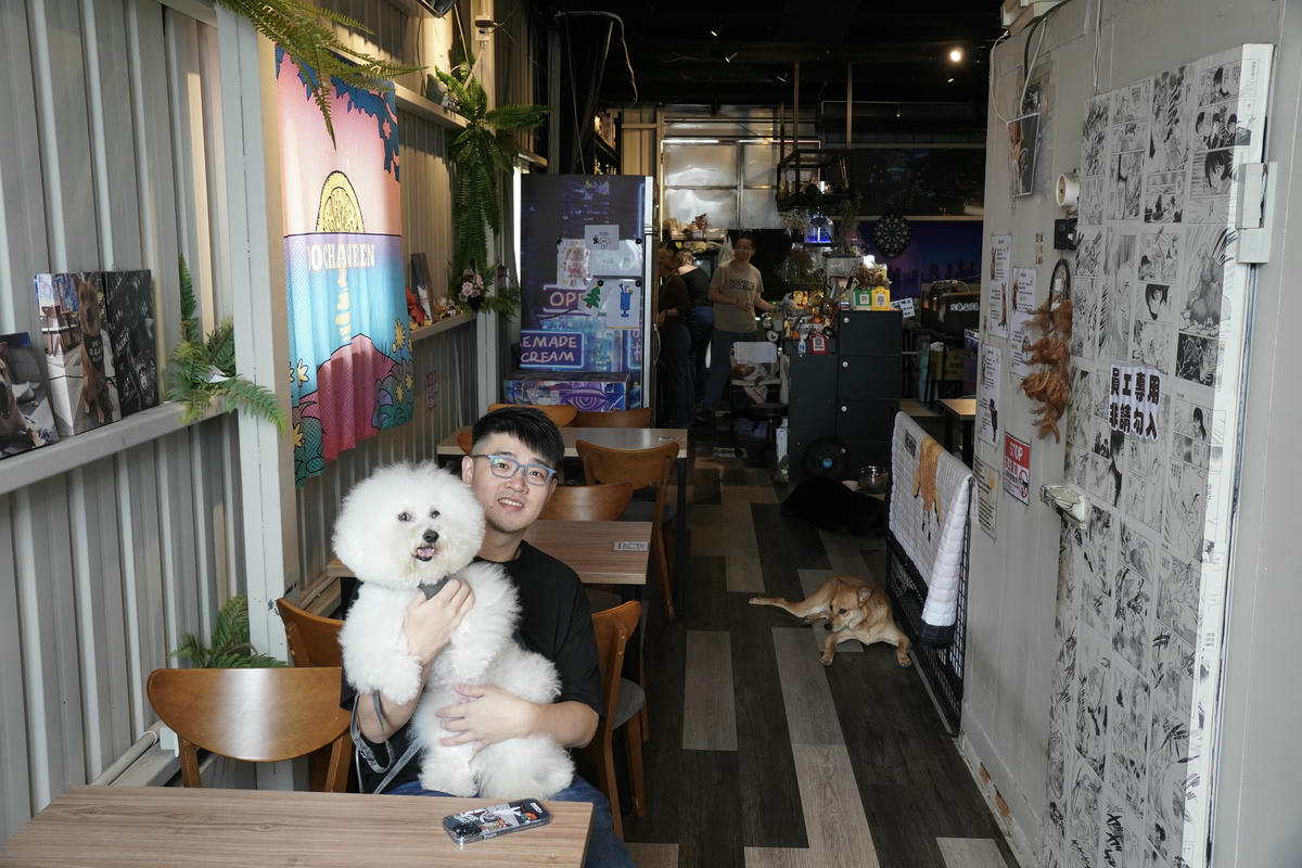 新北八里餐廳推薦,渡船人,享受一段隱藏在八里河岸的靜謐時光,坐擁美食與美景的河岸秘密基地,調酒很讚,5位可愛店狗陪你度過悠閒午後,寵物友善餐廳 - 第15張圖 新北八里餐廳推薦,渡船人,享受一段隱藏在八里河岸的靜謐時光,坐擁美食與美景的河岸秘密基地,調酒很讚,5位可愛店狗陪你度過悠閒午後,寵物友善餐廳