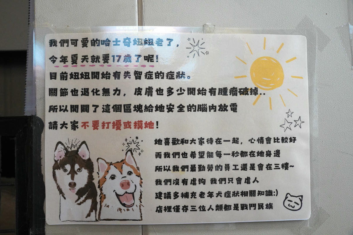 新北八里餐廳推薦,渡船人,享受一段隱藏在八里河岸的靜謐時光,坐擁美食與美景的河岸秘密基地,調酒很讚,5位可愛店狗陪你度過悠閒午後,寵物友善餐廳 - 第40張圖 新北八里餐廳推薦,渡船人,享受一段隱藏在八里河岸的靜謐時光,坐擁美食與美景的河岸秘密基地,調酒很讚,5位可愛店狗陪你度過悠閒午後,寵物友善餐廳