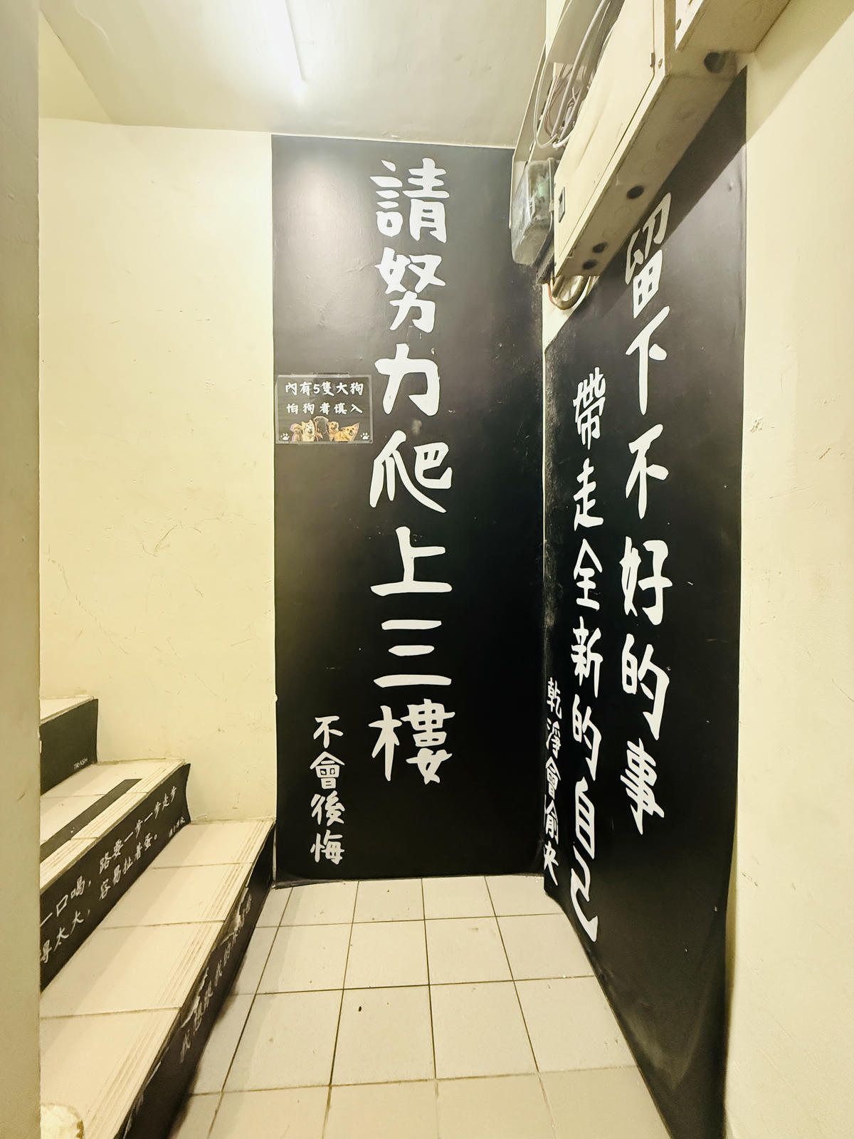 新北八里餐廳推薦,渡船人,享受一段隱藏在八里河岸的靜謐時光,坐擁美食與美景的河岸秘密基地,調酒很讚,5位可愛店狗陪你度過悠閒午後,寵物友善餐廳 - 第7張圖 新北八里餐廳推薦,渡船人,享受一段隱藏在八里河岸的靜謐時光,坐擁美食與美景的河岸秘密基地,調酒很讚,5位可愛店狗陪你度過悠閒午後,寵物友善餐廳