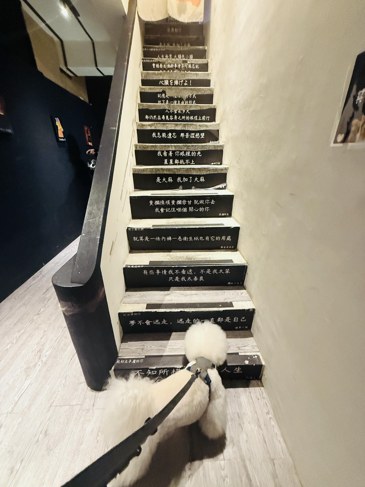 新北八里餐廳推薦,渡船人,享受一段隱藏在八里河岸的靜謐時光,坐擁美食與美景的河岸秘密基地,調酒很讚,5位可愛店狗陪你度過悠閒午後,寵物友善餐廳 - 第9張圖 新北八里餐廳推薦,渡船人,享受一段隱藏在八里河岸的靜謐時光,坐擁美食與美景的河岸秘密基地,調酒很讚,5位可愛店狗陪你度過悠閒午後,寵物友善餐廳