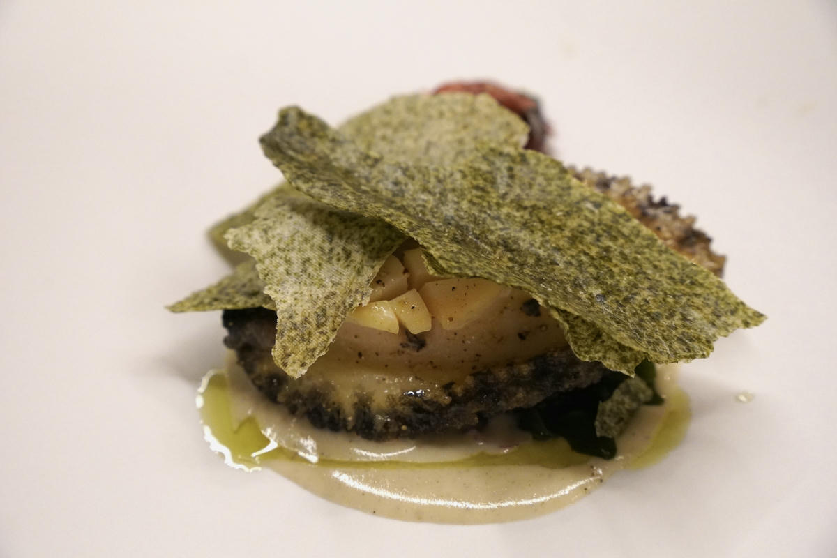 公館美食推薦｜DOWA．隱寓，頂級日式鐵板燒，以台灣城市、山海、土地為靈魂入菜，重新詮釋經典食材，藏身豪宅內的奢華島嶼感官之旅