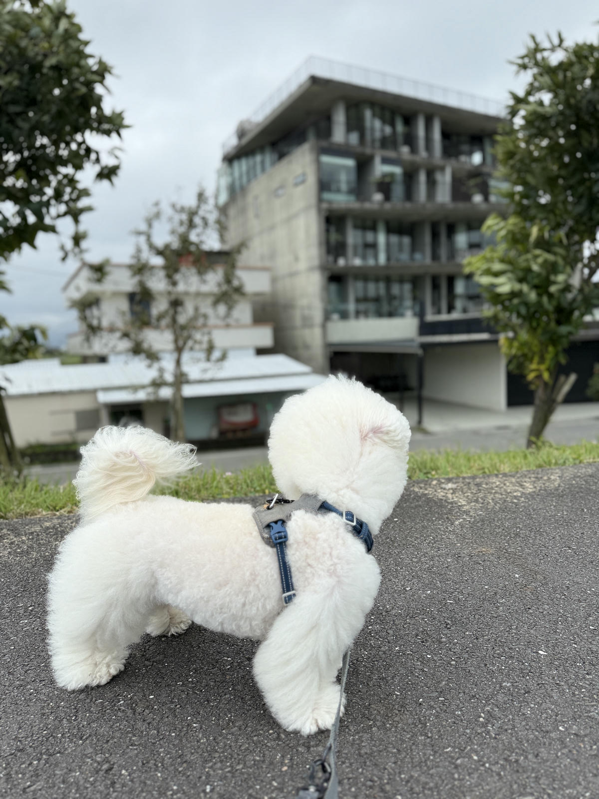 宜蘭民宿推薦，住進美景中，在房間直接眺望大海！宜蘭寗夏光線民宿，開箱270度環景眺島房，帶著毛孩奢華住一晚