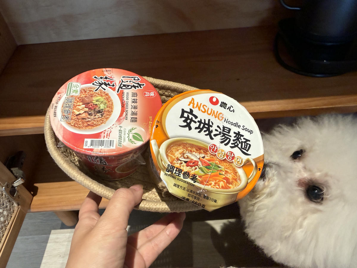 宜蘭民宿推薦，住進美景中，在房間直接眺望大海！宜蘭寗夏光線民宿，開箱270度環景眺島房，帶著毛孩奢華住一晚