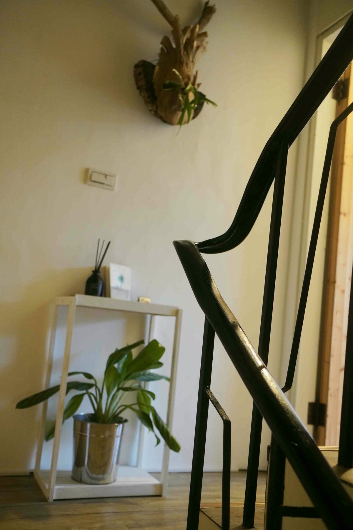 【南投魚池】Canlive可以住日月潭私宅,用一杯茶的時間,愛上藏身巷弄的包棟文青民宿。寵物友善 - 第40張圖