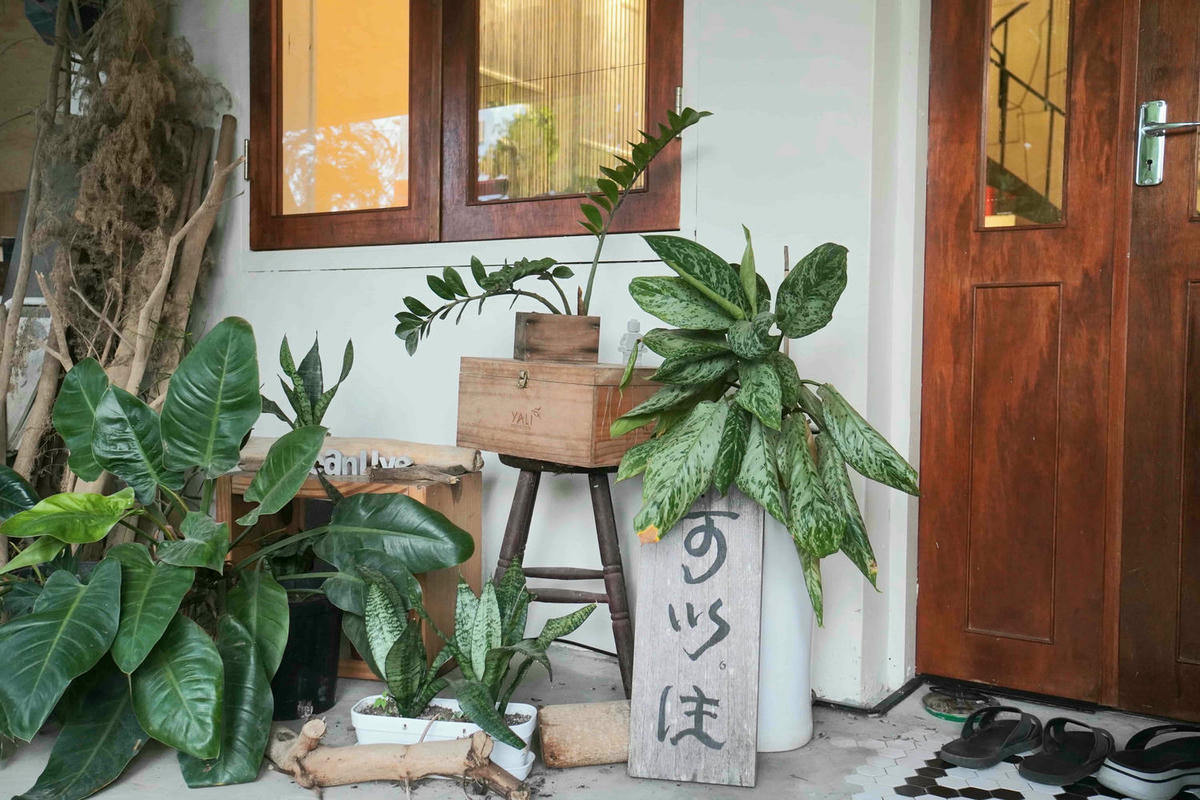 【南投魚池】Canlive可以住日月潭私宅,用一杯茶的時間,愛上藏身巷弄的包棟文青民宿。寵物友善 - 第16張圖
