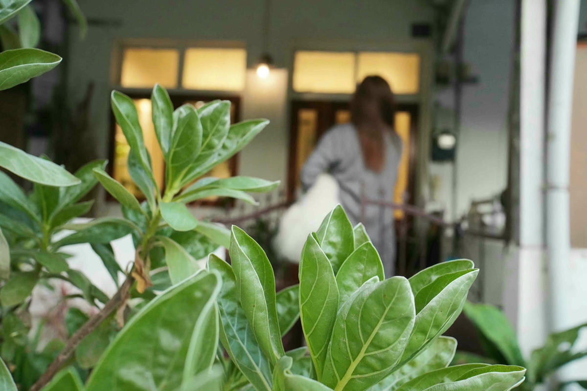 【南投魚池】Canlive可以住日月潭私宅,用一杯茶的時間,愛上藏身巷弄的包棟文青民宿。寵物友善 - 第8張圖