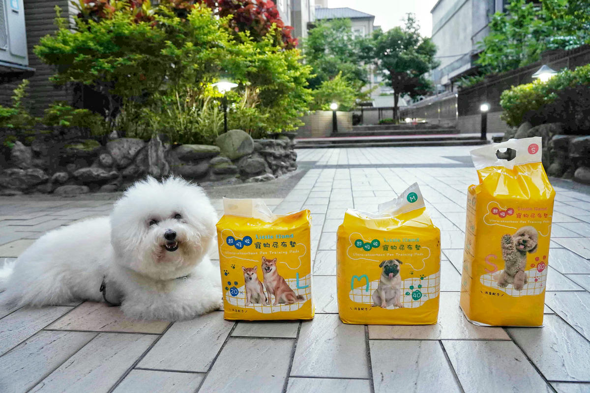 寵物家庭必備!Little hand 超強吸收抑臭寵物尿布墊,還附加誘導定點方便功能!我家毛孩用過就回不去啦! - 第1張圖