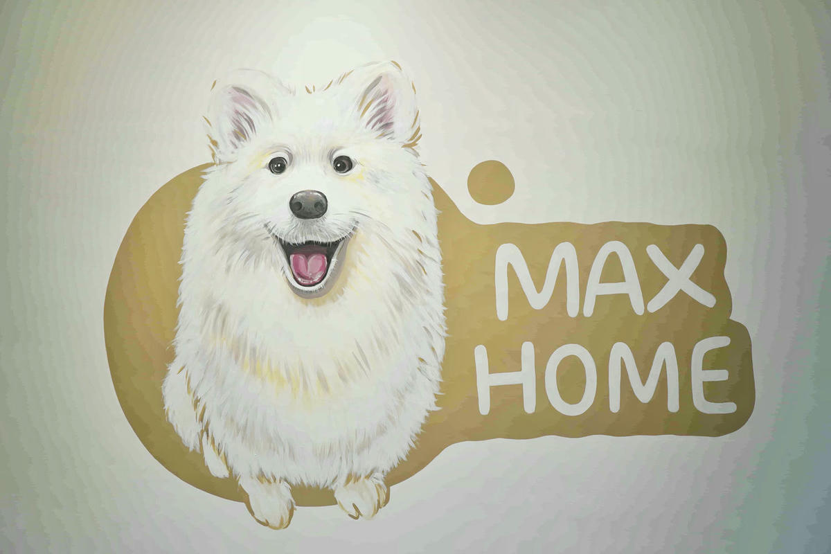 【宜蘭冬山】全新開幕 Max Home 質感寵物友善民宿,一泊二食,暢享北歐私廚早餐,精緻午茶buffet、百坪圍籬草坪讓狗狗恣意奔跑,還有薩摩耶店長可愛上工! - 第8張圖