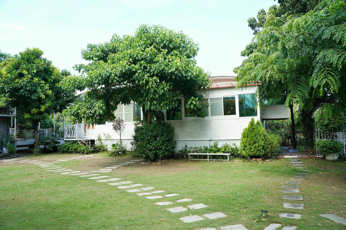 【台南住宿】葉樹民宿 Leaf House,入住被陽光及綠意環繞的獨棟庭院,樹還長在房間裡,獨立草皮、寵物友善,D房型實住分享 - 第3張圖