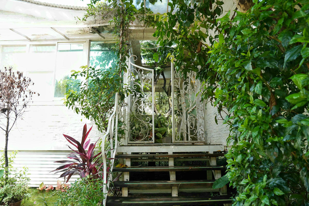 【台南住宿】葉樹民宿 Leaf House,入住被陽光及綠意環繞的獨棟庭院,樹還長在房間裡,獨立草皮、寵物友善,D房型實住分享 - 第28張圖