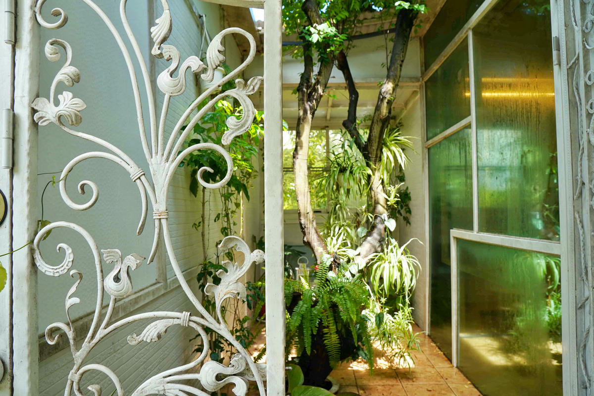 【台南住宿】葉樹民宿 Leaf House,入住被陽光及綠意環繞的獨棟庭院,樹還長在房間裡,獨立草皮、寵物友善,D房型實住分享 - 第29張圖