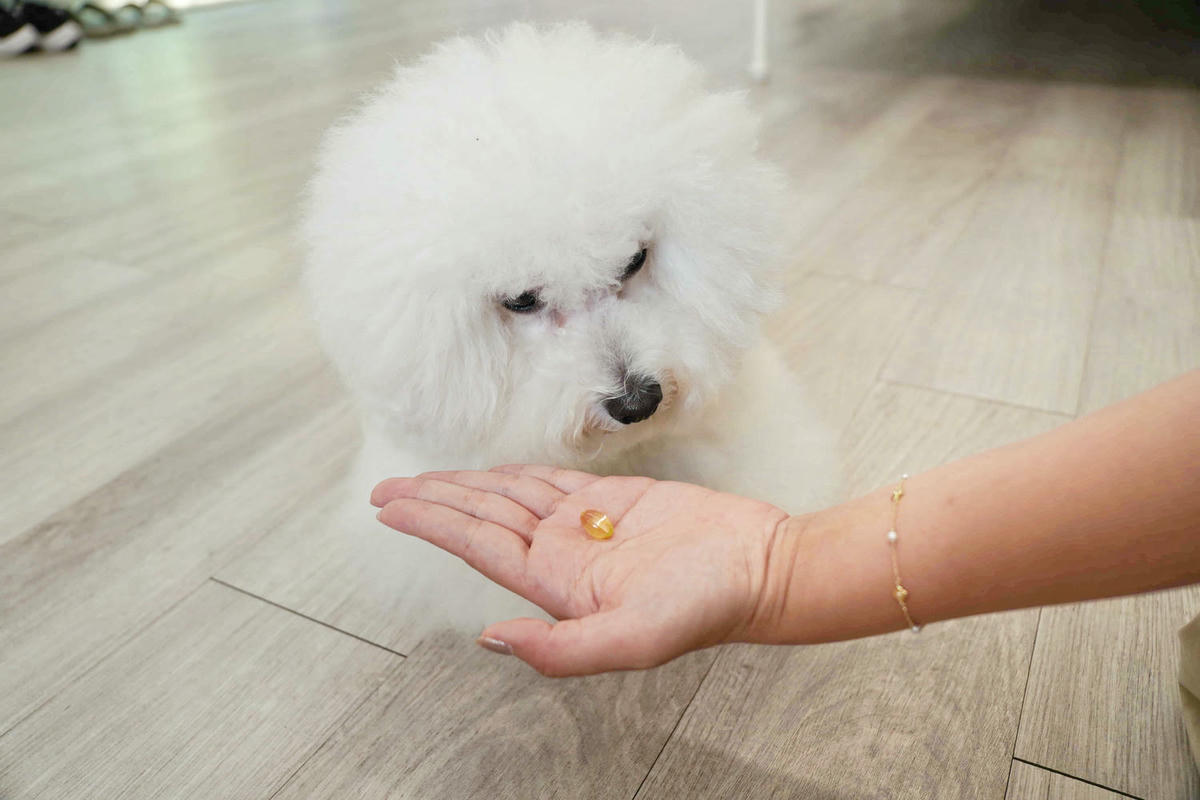 【寵物保健】Furluv樂球 好魚油軟膠囊,為毛孩儲蓄全方位的健康!兼顧眼睛、心血管、關節、皮膚、腦部健康發展,讓毛孩陪伴我們久久長長! - 第10張圖