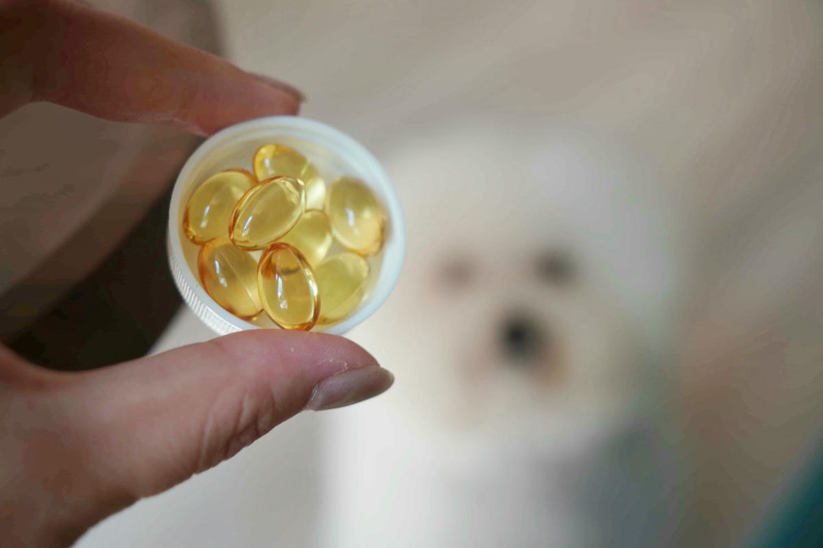 【寵物保健】Furluv樂球 好魚油軟膠囊,為毛孩儲蓄全方位的健康!兼顧眼睛、心血管、關節、皮膚、腦部健康發展,讓毛孩陪伴我們久久長長! - 第19張圖