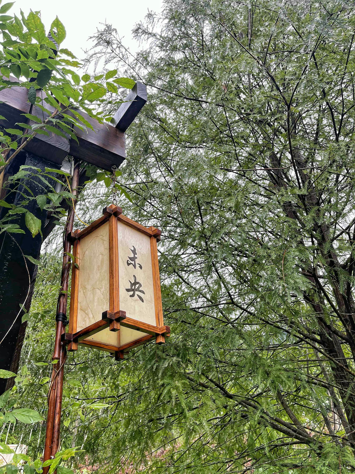 【宜蘭員山】山也未央,隱身田野山林間,遺世獨立、讓旅人心靈休憩片刻的山野系民宿,一次僅接待一組來客,可容納22人,寵物友善包棟 - 第24張圖