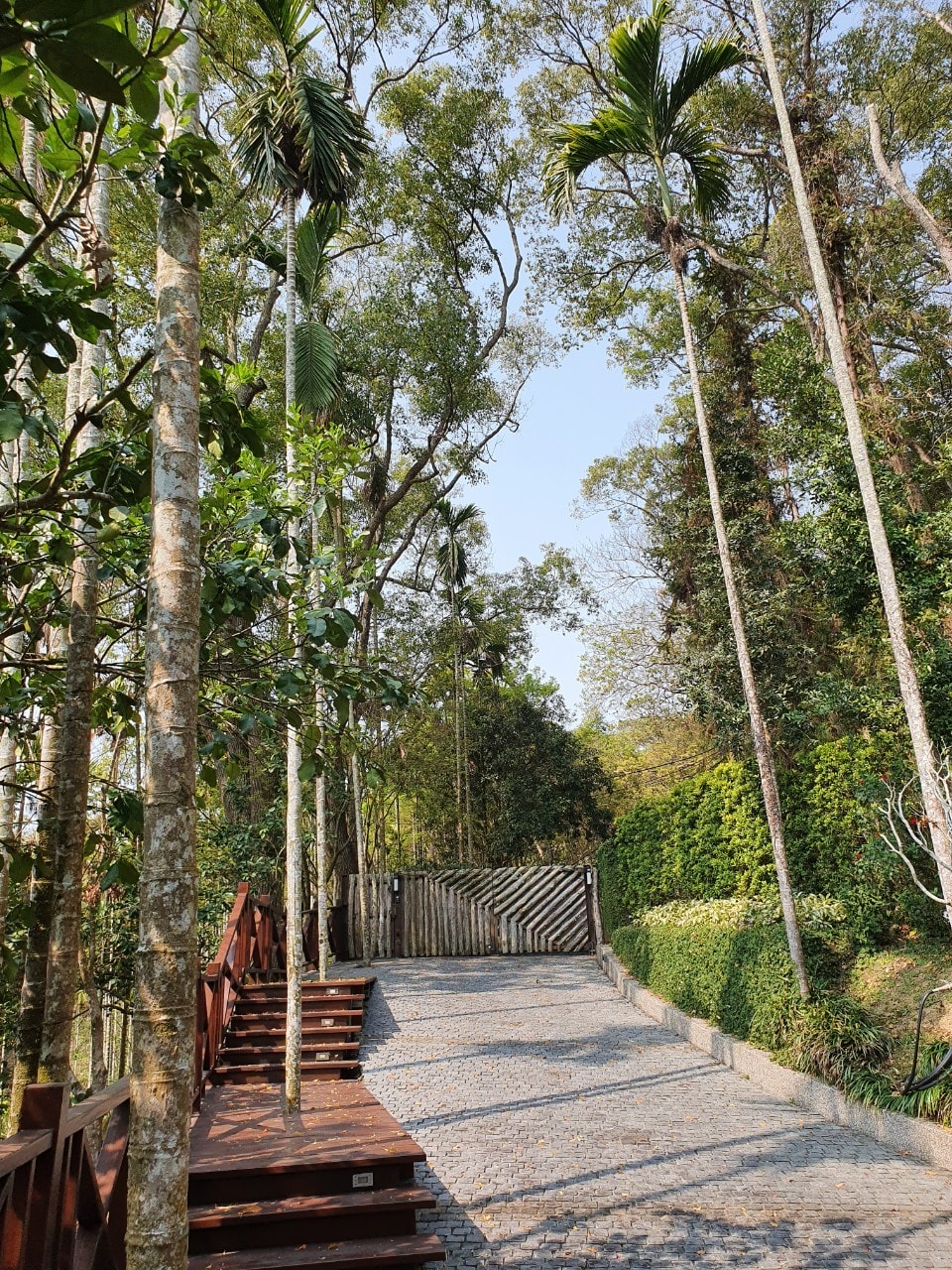 【苗栗三義】樹也chooart villa,把樹種在房間裡,體驗與自然共生的美好 |質感民宿、精緻一泊二食 - 第3張圖