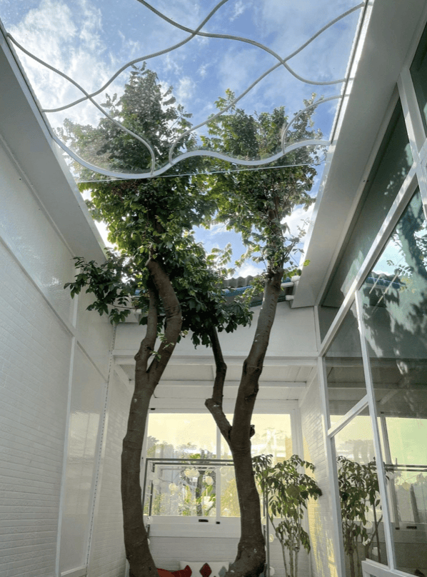 【台南住宿】葉樹民宿 Leaf House,入住被陽光及綠意環繞的獨棟庭院,樹還長在房間裡,獨立草皮、寵物友善,D房型實住分享 - 第24張圖